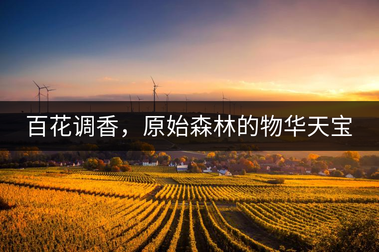 百花調(diào)香，原始森林的物華天寶