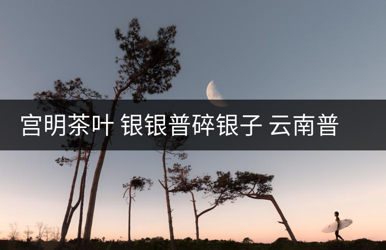 宮明茶葉 銀銀普碎銀子 云南普洱茶熟茶易武古樹糯米香老茶頭好喝嗎？