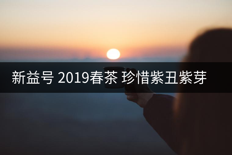 新益號 2019春茶 珍惜紫丑紫芽茶 是什么茶好喝嗎？