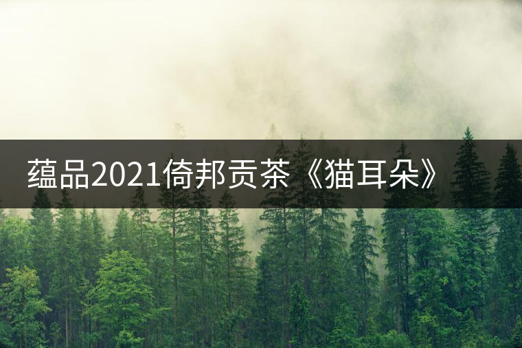 蘊(yùn)品2021倚邦貢茶《貓耳朵》古樹普洱茶生茶好喝嗎？