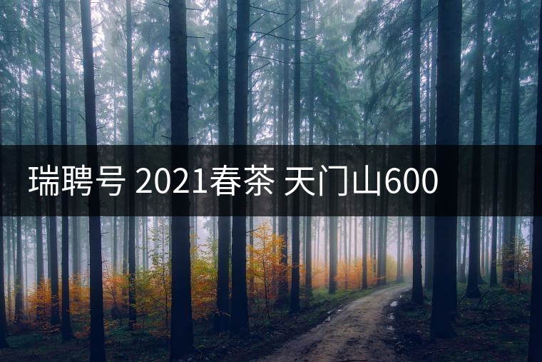 瑞聘號 2021春茶 天門山600 頭春古樹口感怎么樣？