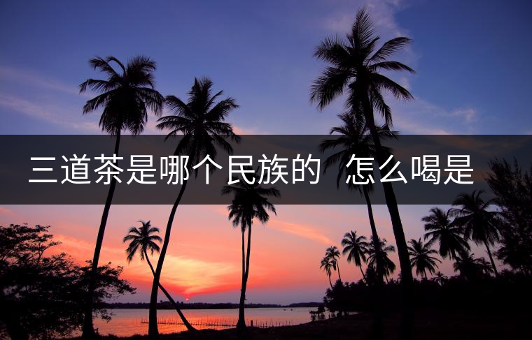 三道茶是哪個(gè)民族的   怎么喝是指那三道