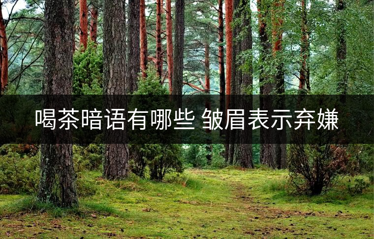 喝茶暗語(yǔ)有哪些 皺眉表示棄嫌