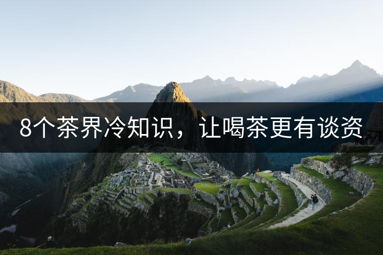 8個(gè)茶界冷知識，讓喝茶更有談資！