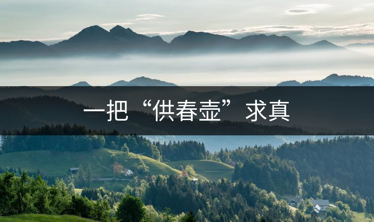 一把“供春壺”求真 一把“供春壺”求真