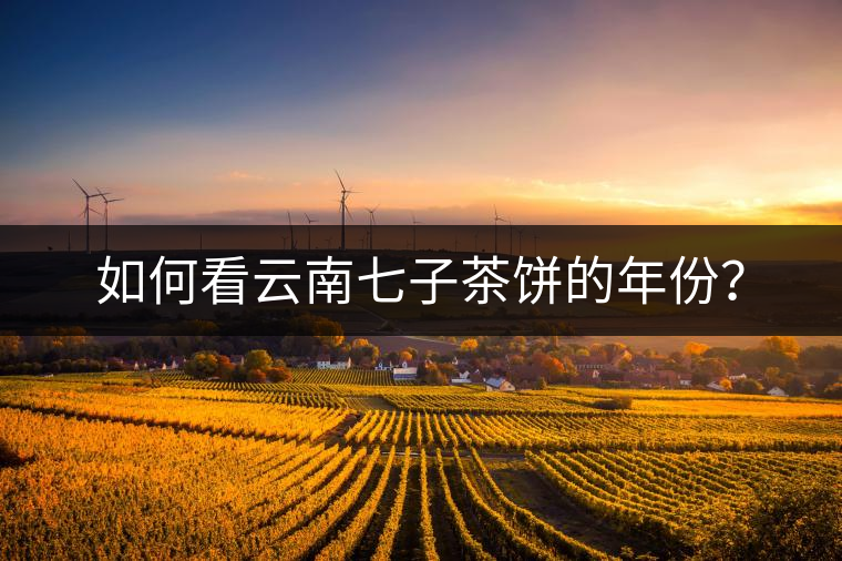 如何看云南七子茶餅的年份？