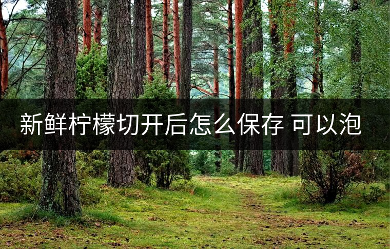 新鮮檸檬切開后怎么保存 可以泡幾次 新鮮檸檬切開后怎么保存 可以泡幾次