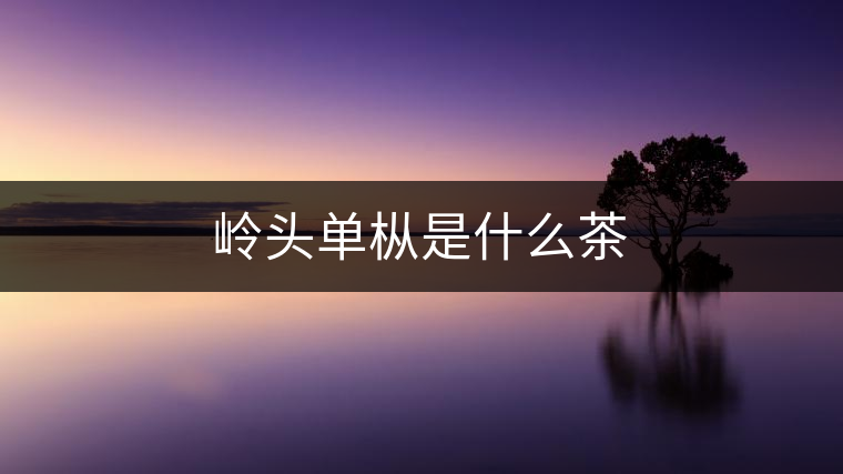嶺頭單樅是什么茶 嶺頭單樅是什么茶