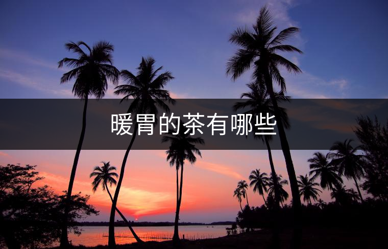 暖胃的茶有哪些 暖胃的茶有哪些