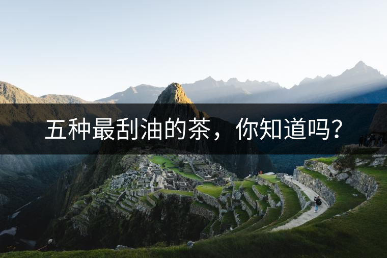 五種最刮油的茶，你知道嗎？
