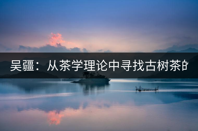 吳疆：從茶學(xué)理論中尋找古樹茶的鑒別方法？（讀書筆記3）