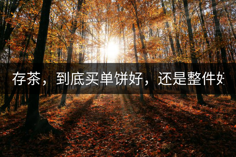 存茶，到底買單餅好，還是整件好？