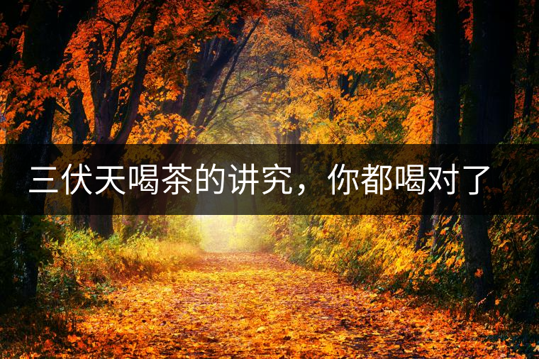 三伏天喝茶的講究，你都喝對了嗎？