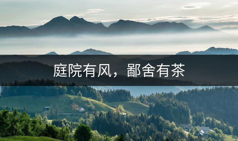 庭院有風(fēng)，鄙舍有茶