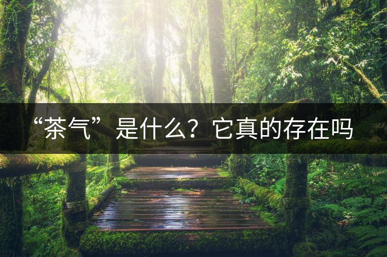 “茶氣”是什么？它真的存在嗎？