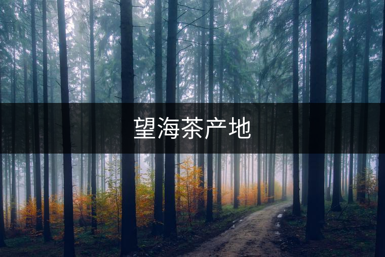 望海茶產(chǎn)地
