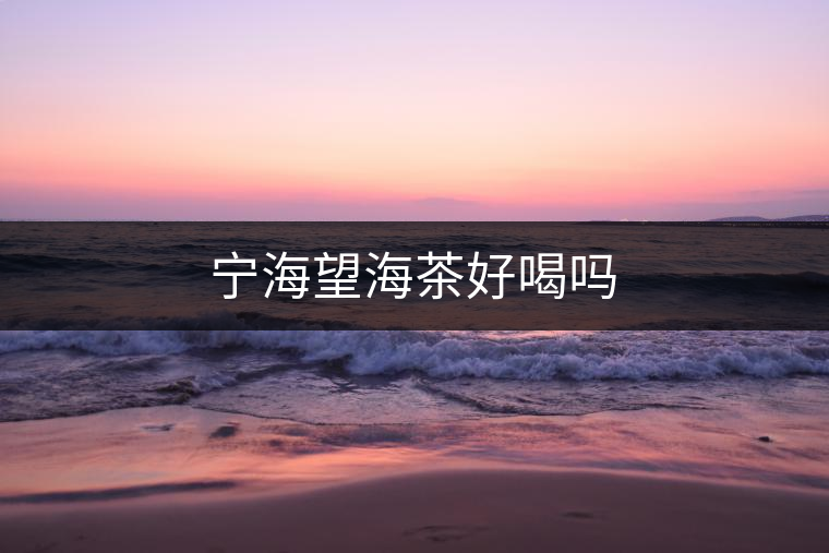 寧海望海茶好喝嗎