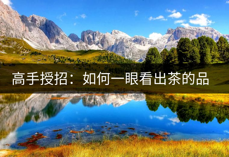 高手授招：如何一眼看出茶的品級(jí)高低？