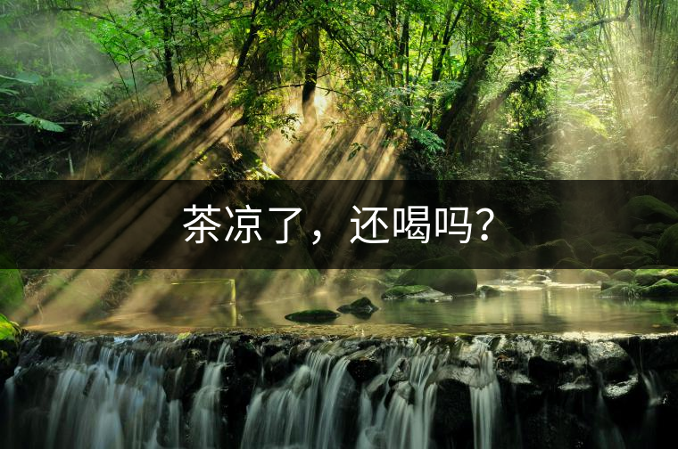 茶涼了，還喝嗎？