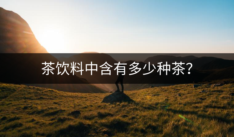 茶飲料中含有多少種茶？