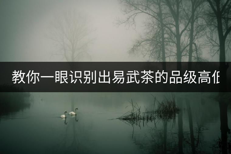 教你一眼識別出易武茶的品級高低！