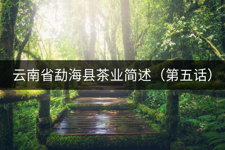 云南省勐海縣茶業(yè)簡述(第五話) 云南省勐??h茶業(yè)簡述(第五話)