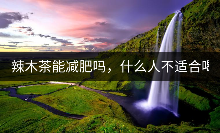 辣木茶能減肥嗎，什么人不適合喝？