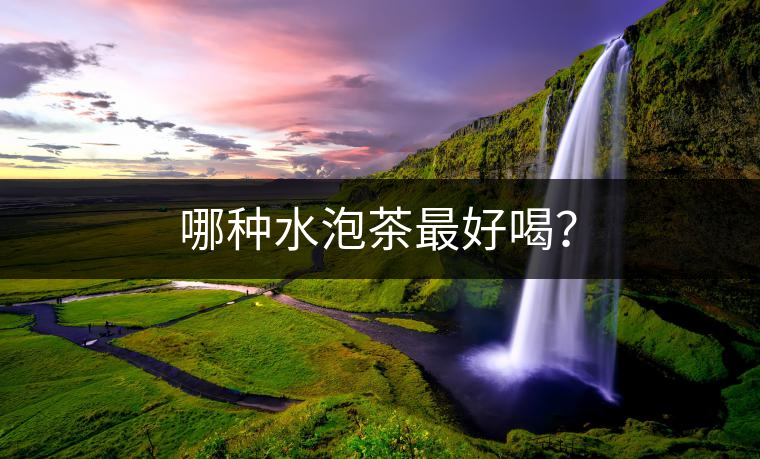 哪種水泡茶最好喝？