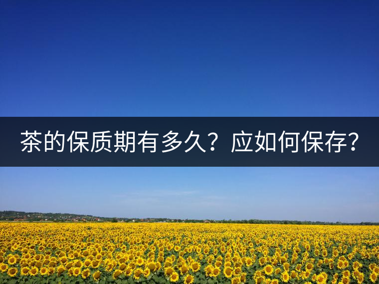 茶的保質(zhì)期有多久？應(yīng)如何保存？