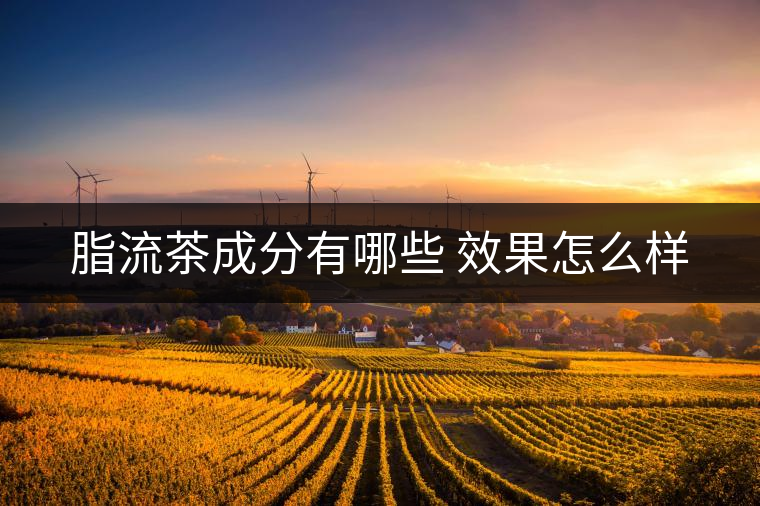 脂流茶成分有哪些 效果怎么樣