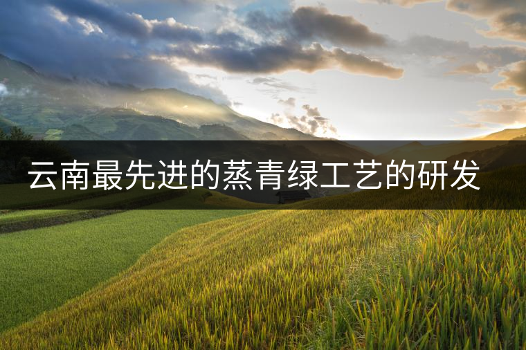 云南最先進(jìn)的蒸青綠工藝的研發(fā)者是誰？