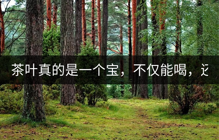 茶葉真的是一個寶，不僅能喝，還能用！