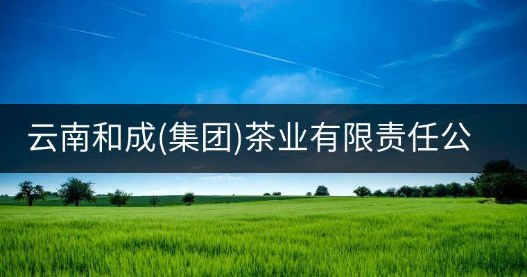云南和成(集團(tuán))茶業(yè)有限責(zé)任公司