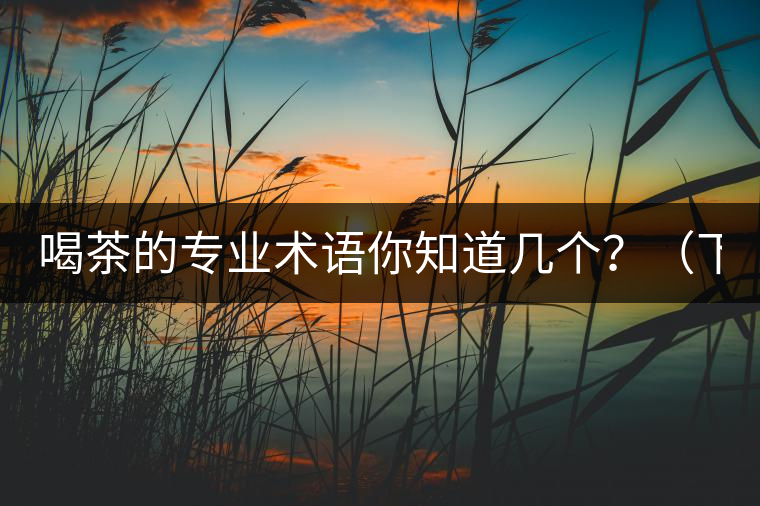 喝茶的專業(yè)術(shù)語你知道幾個？（下篇）