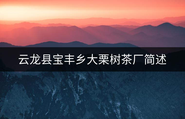 云龍縣寶豐鄉(xiāng)大栗樹茶廠簡(jiǎn)述