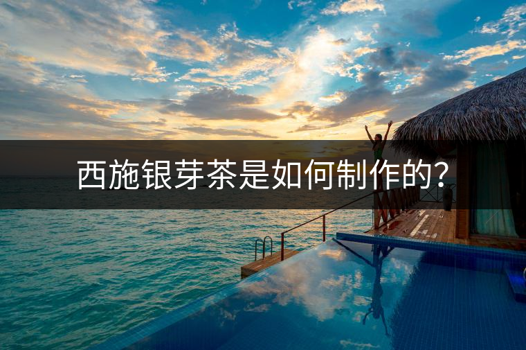 西施銀芽茶是如何制作的? 西施銀芽茶是如何制作的?