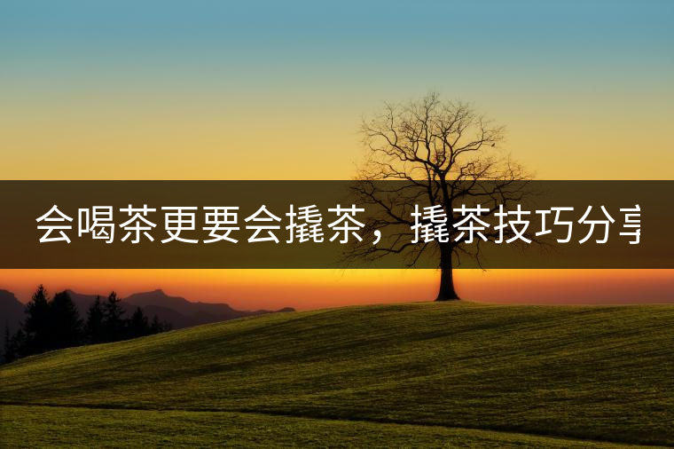 會喝茶更要會撬茶，撬茶技巧分享！