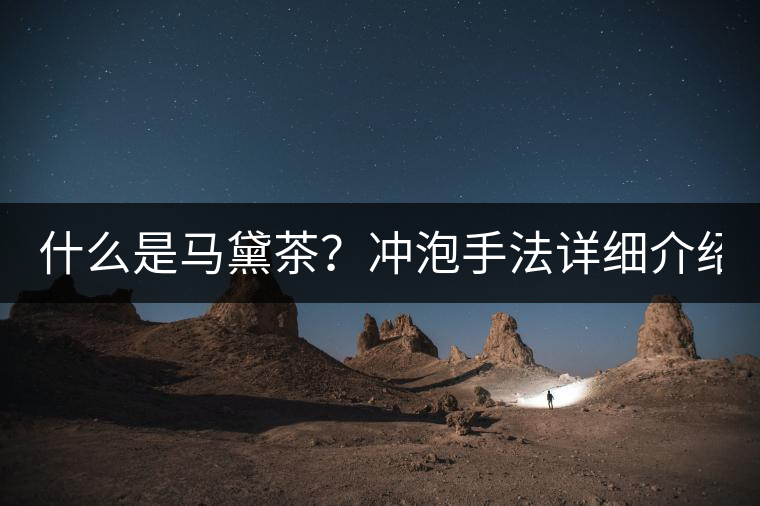 什么是馬黛茶？沖泡手法詳細介紹！