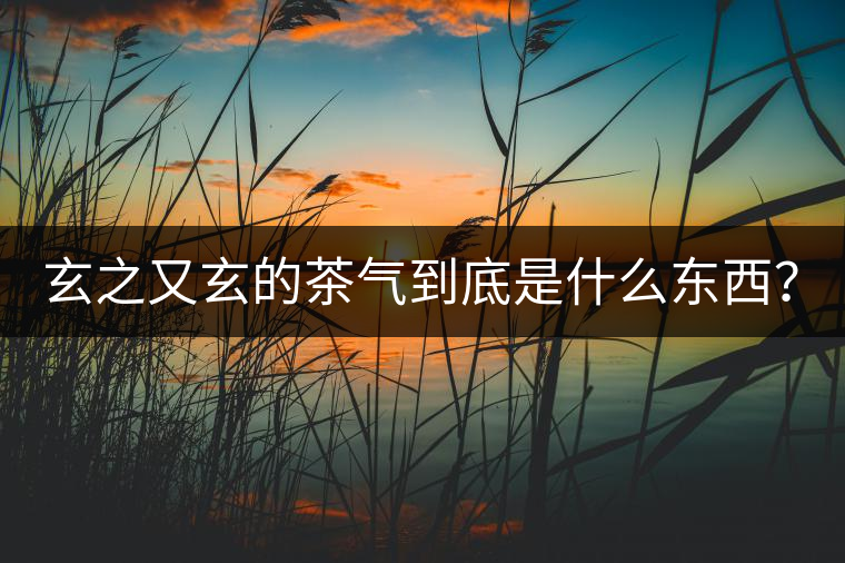 玄之又玄的茶氣到底是什么東西？