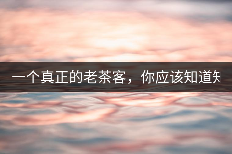 一個(gè)真正的老茶客，你應(yīng)該知道知識(shí)點(diǎn)！