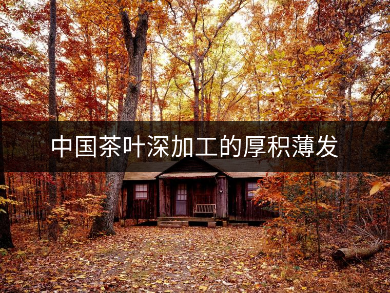 中國(guó)茶葉深加工的厚積薄發(fā) 中國(guó)茶葉深加工的厚積薄發(fā)