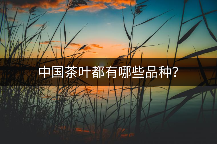 中國茶葉都有哪些品種？