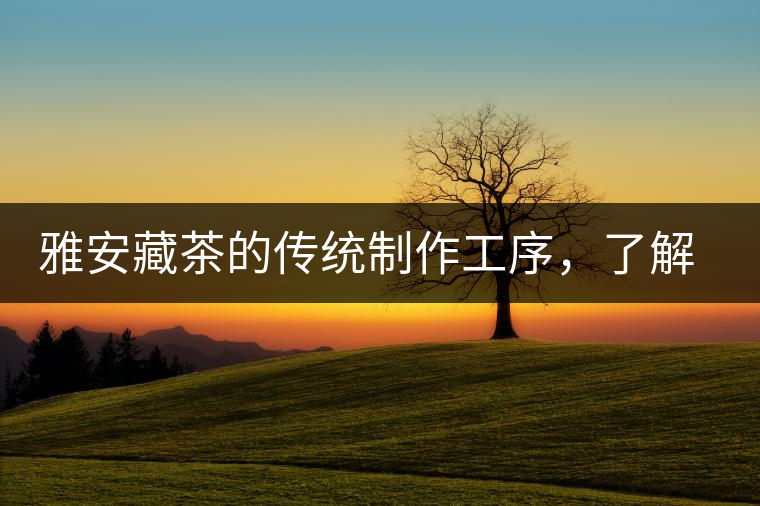 雅安藏茶的傳統(tǒng)制作工序，了解了傳統(tǒng)技藝才能更好的了解茶品！