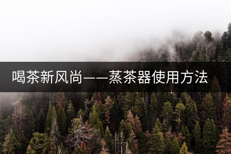 喝茶新風尚——蒸茶器使用方法介紹 喝茶新風尚——蒸茶器使用方法介紹