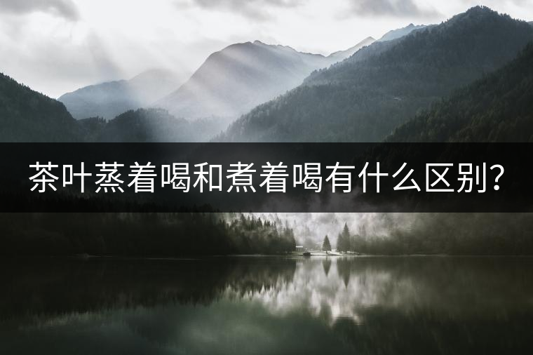 茶葉蒸著喝和煮著喝有什么區(qū)別？