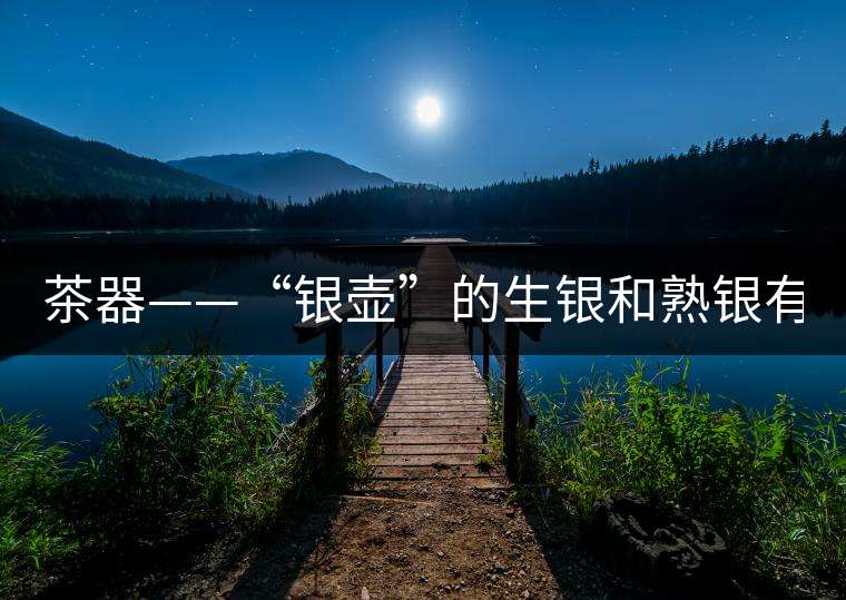 茶器——“銀壺”的生銀和熟銀有什么區(qū)別嗎？