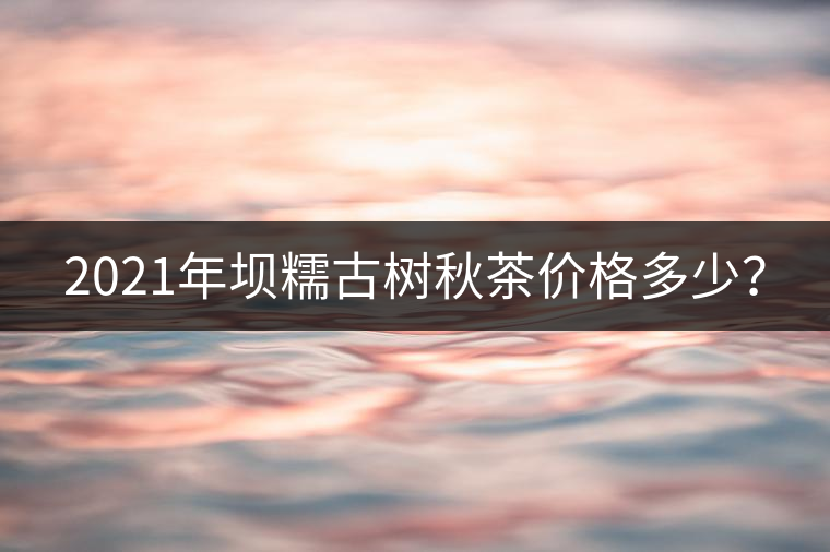 2021年壩糯古樹秋茶價(jià)格多少？