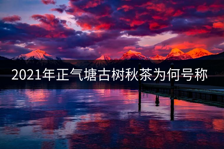 2021年正氣塘古樹秋茶為何號稱小冰島？