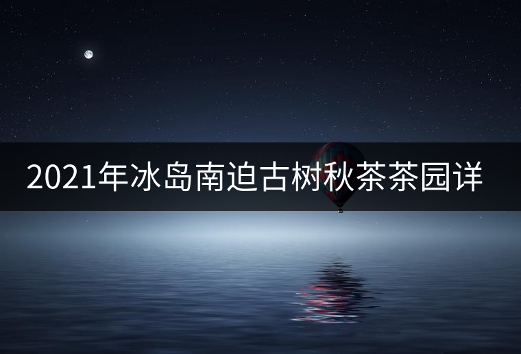 2021年冰島南迫古樹秋茶茶園詳解！
