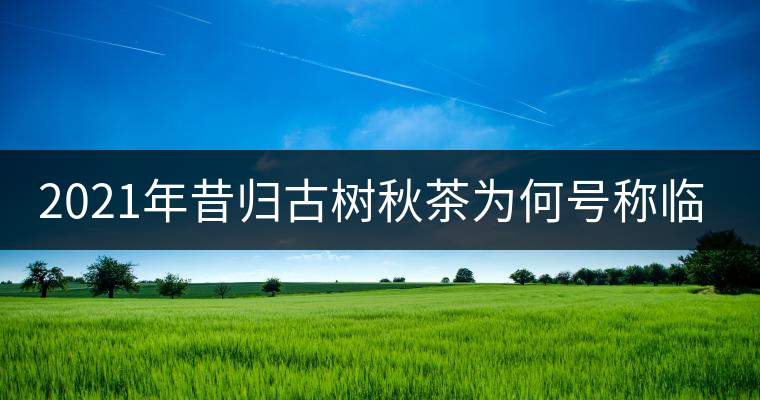 2021年昔歸古樹秋茶為何號稱臨滄老班章？